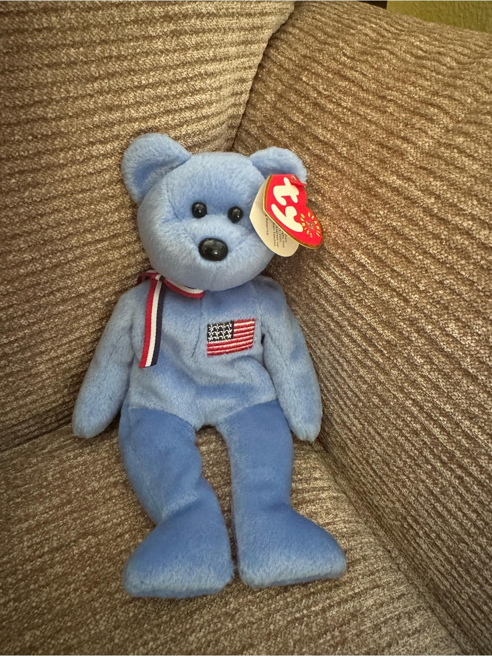 TY Beanie Baby America